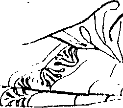 092/092670010000180_0.png