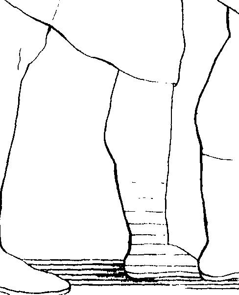 092/092670010000200_1.png