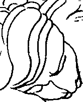 092/092670010000240_0.png