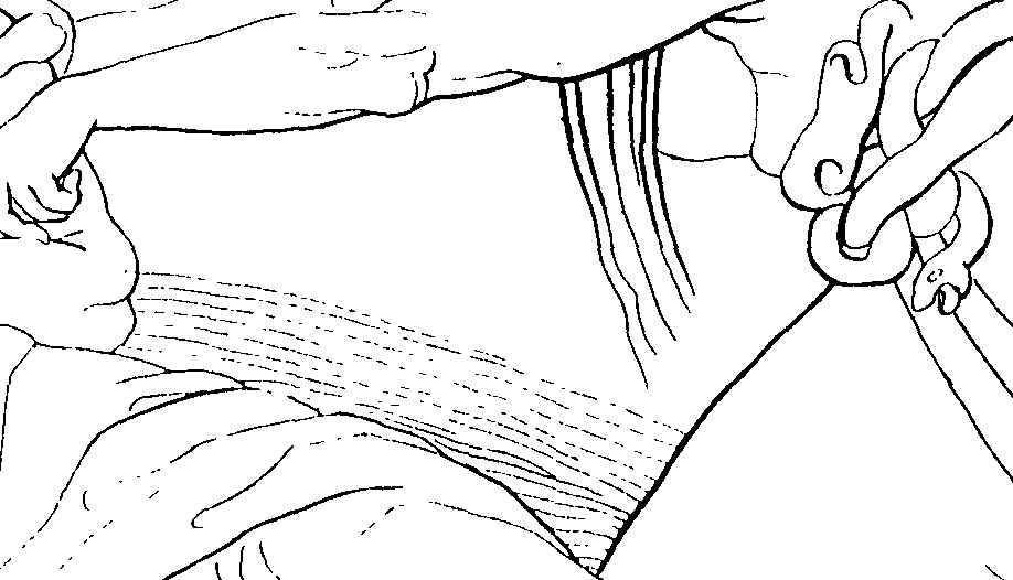 092/092670010000250_1.png
