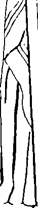 092/092670010000270_0.png