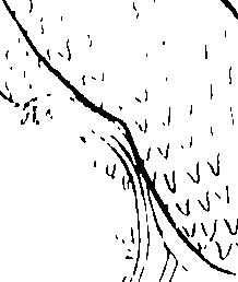 092/092670010000300_0.png