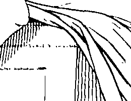 092/092670050000020_0.png