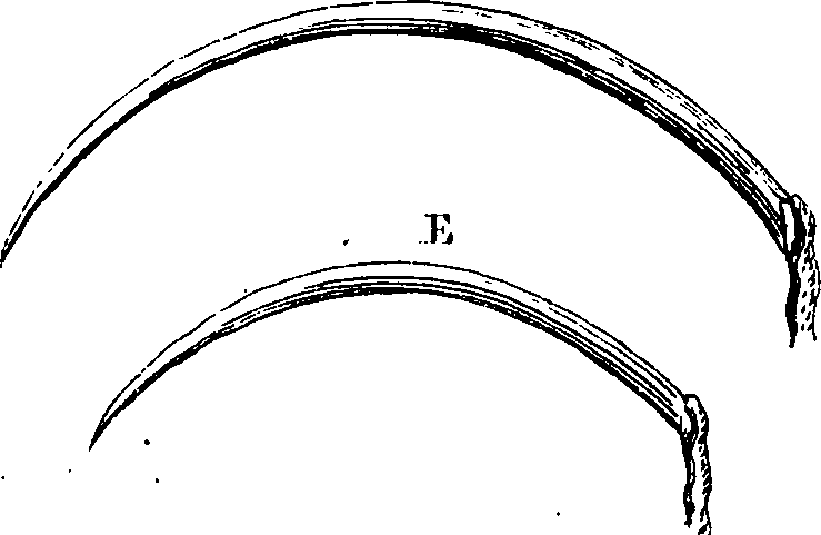 092/092680010001200_2.png