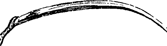 092/092680010001200_3.png