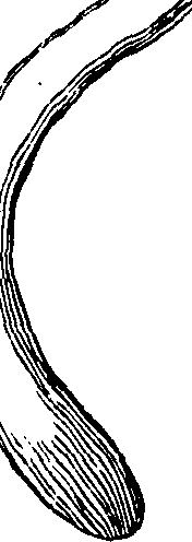 092/092680010002230_0.png