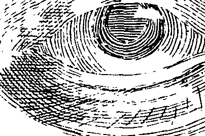 092/092680010002530_1.png