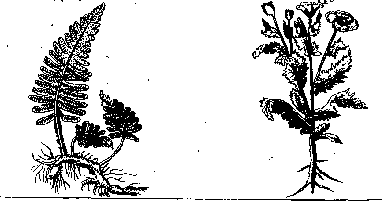 092/092700010002970_0.png