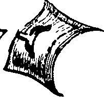 092/092740030001720_1.png