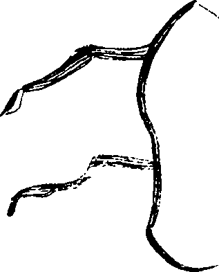 092/092740030001780_1.png