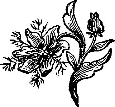 092/092890090000390_0.png