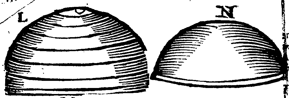 092/092960070000240_0.png