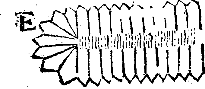092/092960070000370_1.png