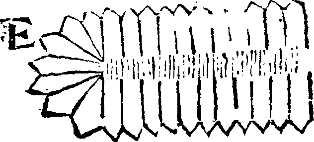 092/092960070000390_1.png