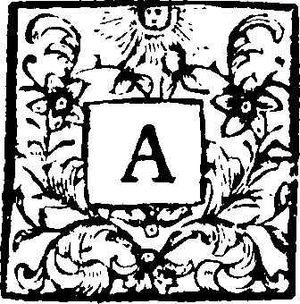 093/093020080400500_0.png