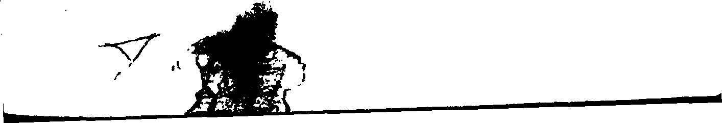 093/093140050000230_0.png