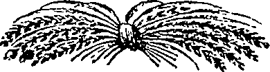 093/093230170000050_0.png