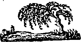 093/093230170000640_0.png