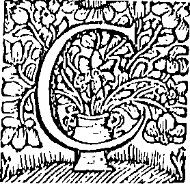 093/093280020202470_0.png