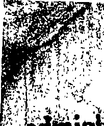 093/093350030000030_1.png