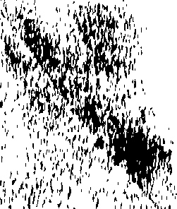 093/093350030000230_0.png