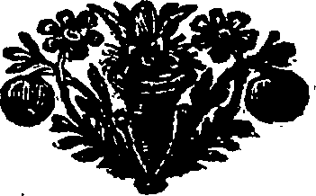 093/093460010000010_0.png
