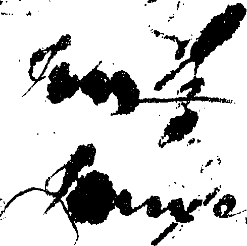 093/093490090001460_1.png