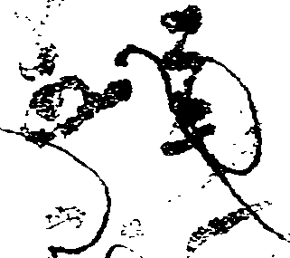 093/093490090001470_1.png