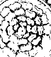 093/093570040001670_0.png