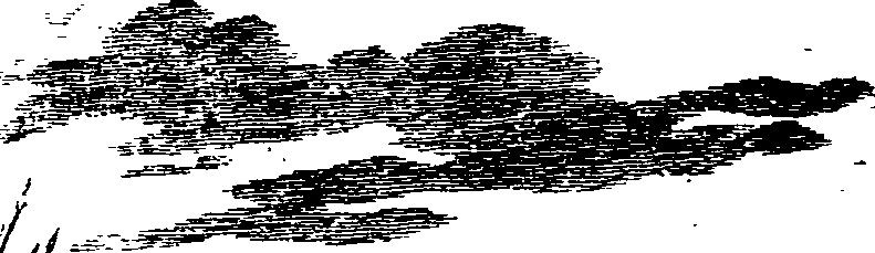 093/093600030000320_0.png