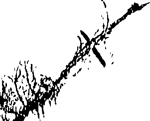 093/093960010002360_0.png