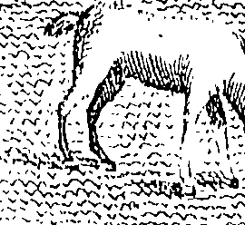 094/094310010003300_0.png