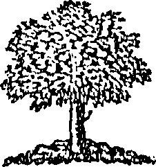 094/094310020000250_0.png