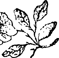 094/094310020000740_1.png