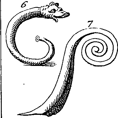 094/094420030002500_0.png