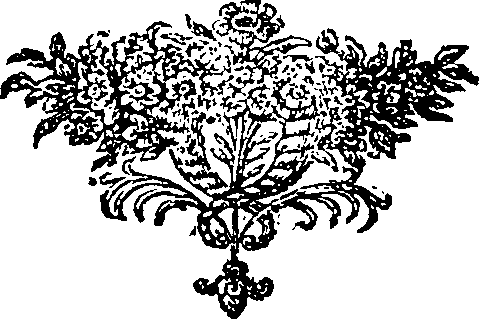 094/094520010005240_0.png
