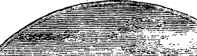 094/094620030001660_1.png