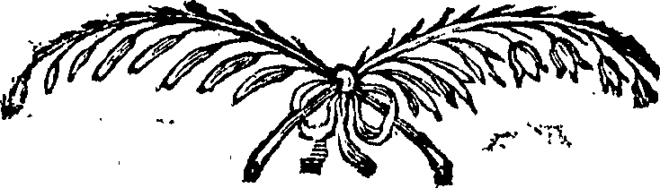 094/094620040102510_0.png