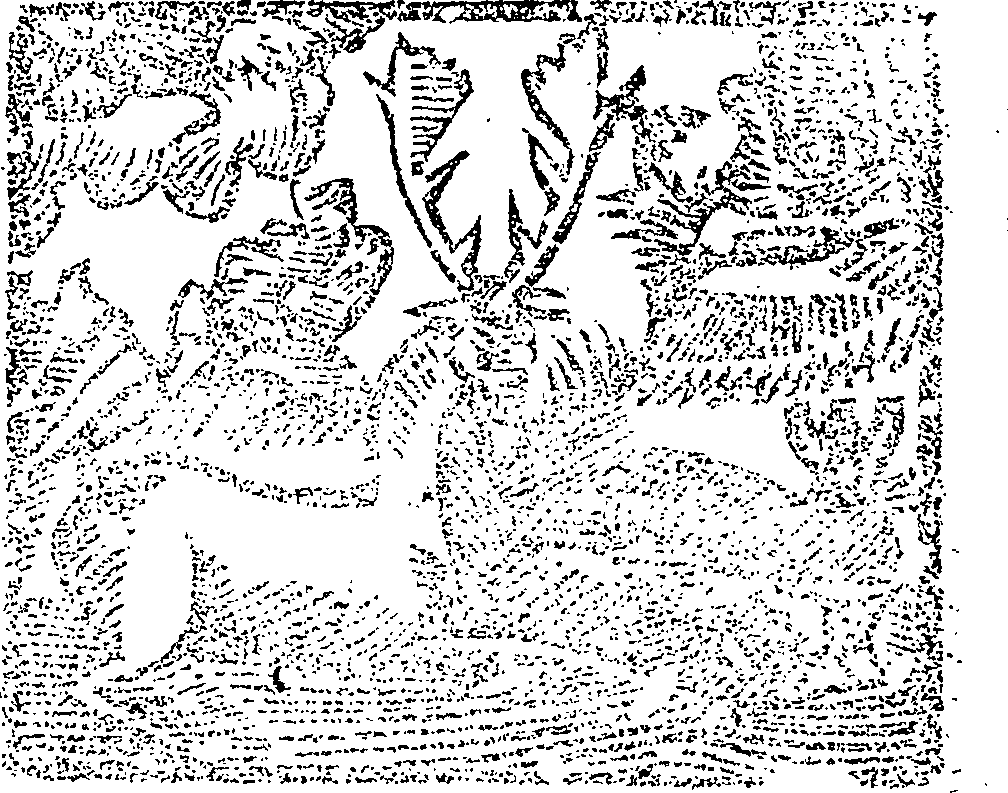 094/094710020000230_0.png