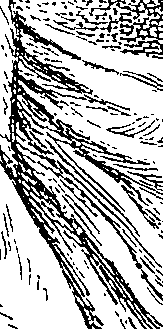 094/094820010400010_0.png
