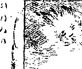 094/094940020003850_1.png