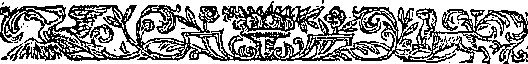 095/095010040000080_1.png