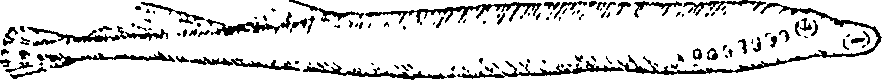 095/095020030001060_0.png