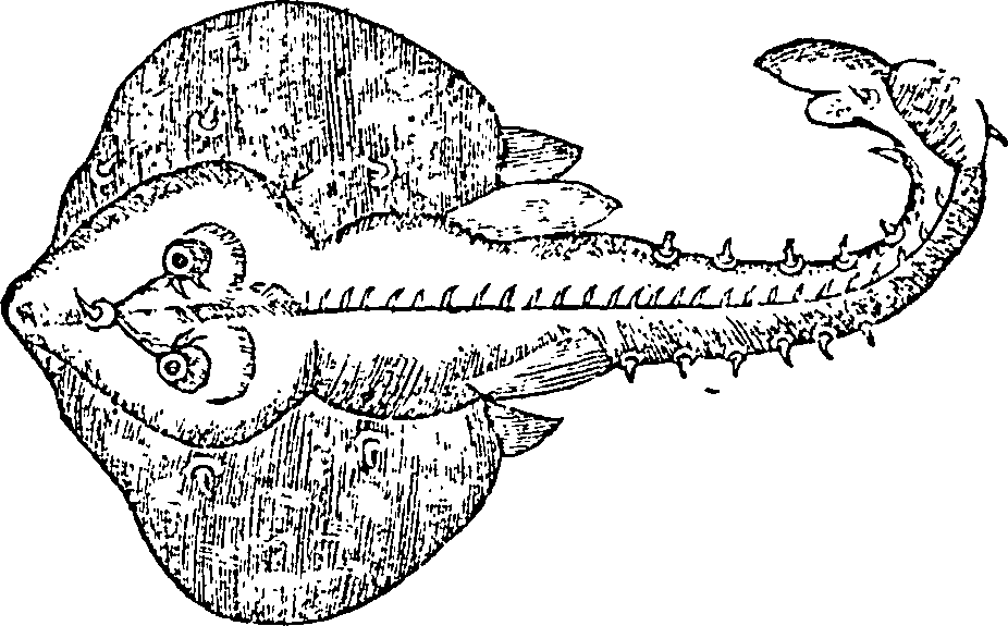 095/095020030002640_0.png