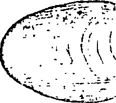 095/095020040002100_1.png