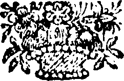 095/095060010000050_0.png
