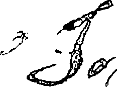 095/095080090000010_0.png
