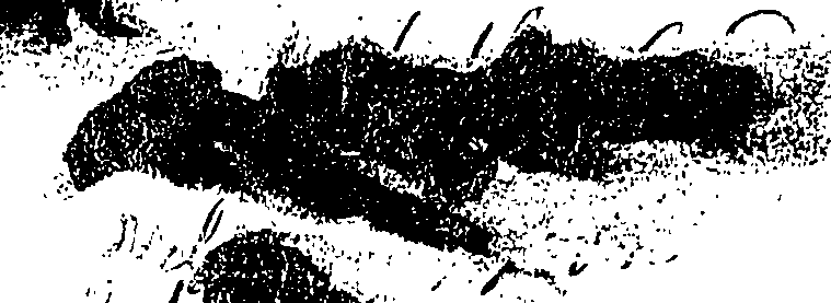 095/095080090000010_1.png