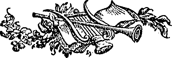 095/095100050000250_0.png