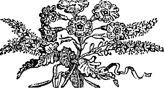 095/095100050000330_0.png